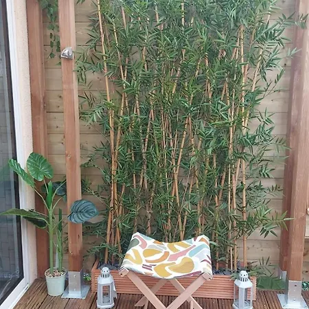 Zen